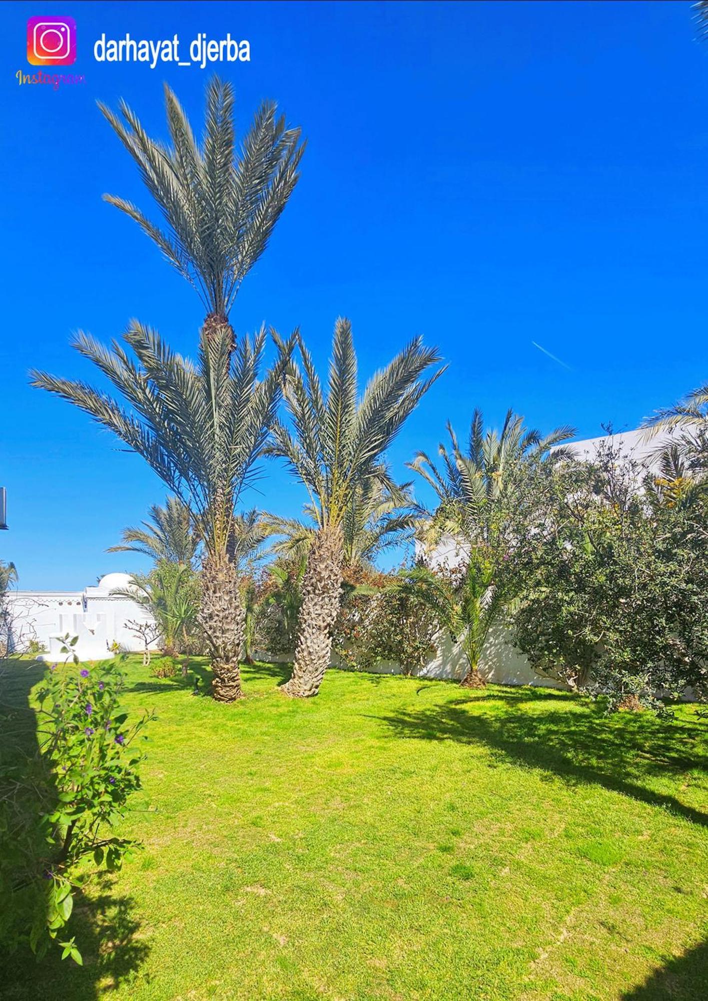 Dar Hayat Villa Triffa Екстериор снимка